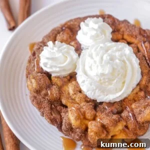 Churro funnel cake.
