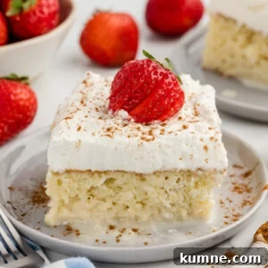 Slice of tres leches cake.