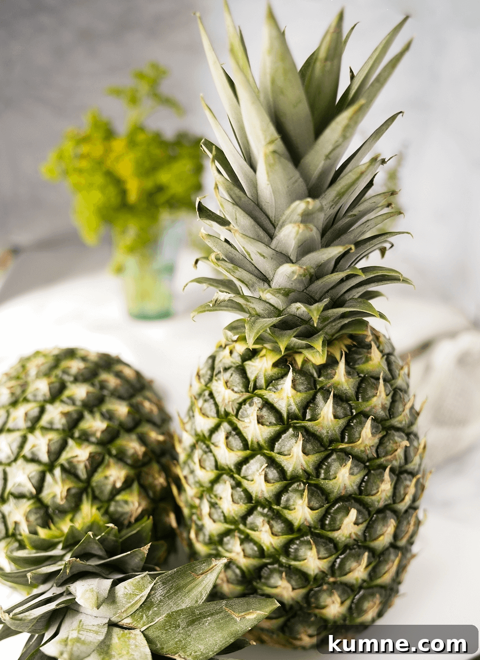 How to Tell When a Pineapple Is Ripe: 7 Signs to Look For 3 How To Know a Pineapple is Ripe