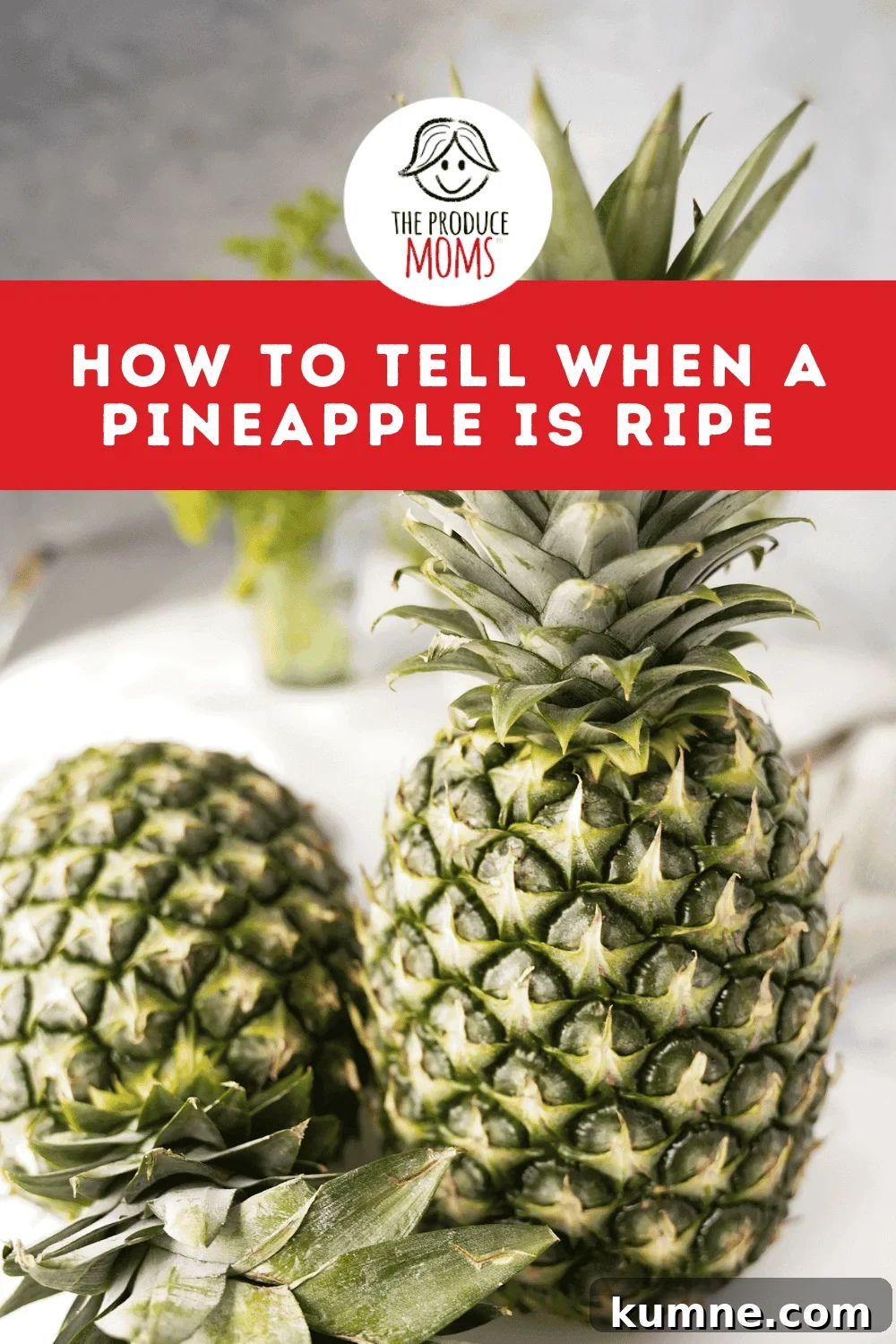 How to Tell When a Pineapple Is Ripe: 7 Signs to Look For 10 Pinterest Pins How To Tell When a Pineapple Is Ripe