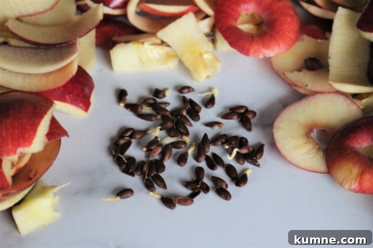 Apple Seeds Sprouting