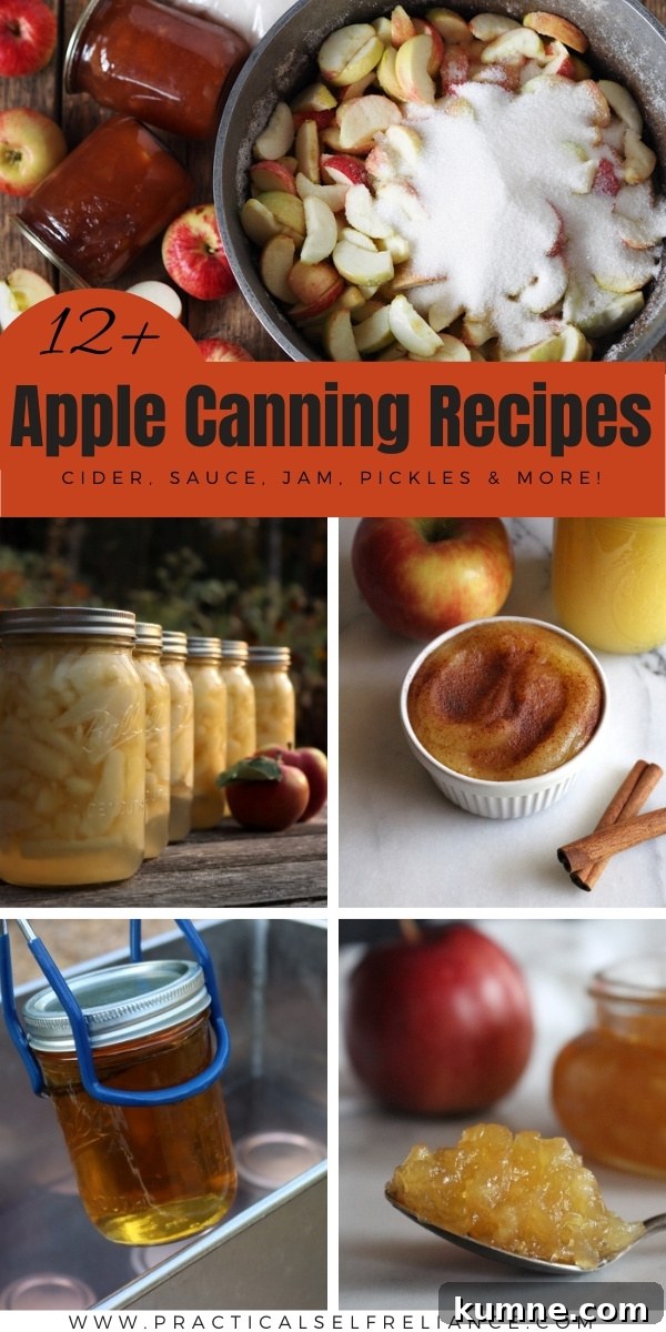 12+ Apple Canning Recipes ~ Learn new ways to preserve apples with this list of tasty apple canning recipes. Everything from slices to sauce, pickles and pie filling.