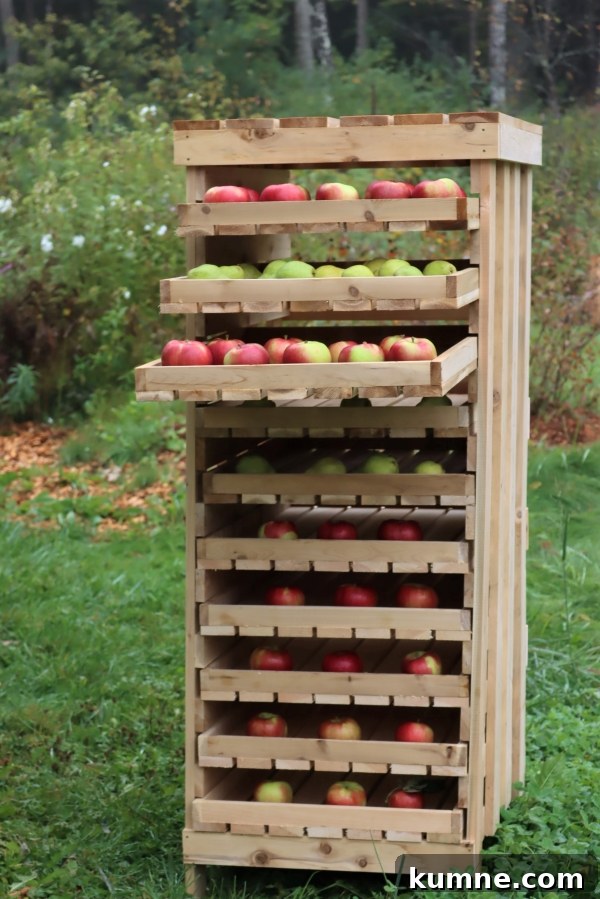 Homemade apple storage rack
