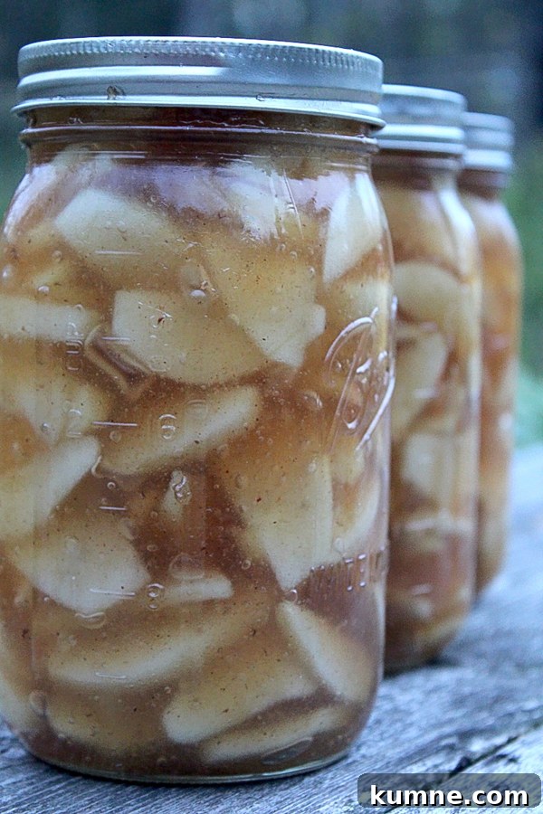 Apple Pie Filling Recipe for Canning