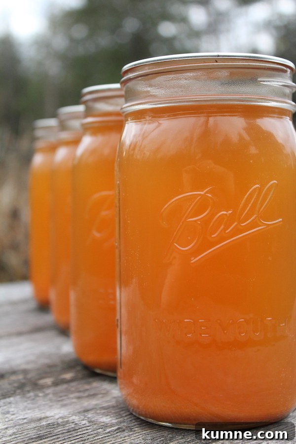 Four jars of home canned apple cider