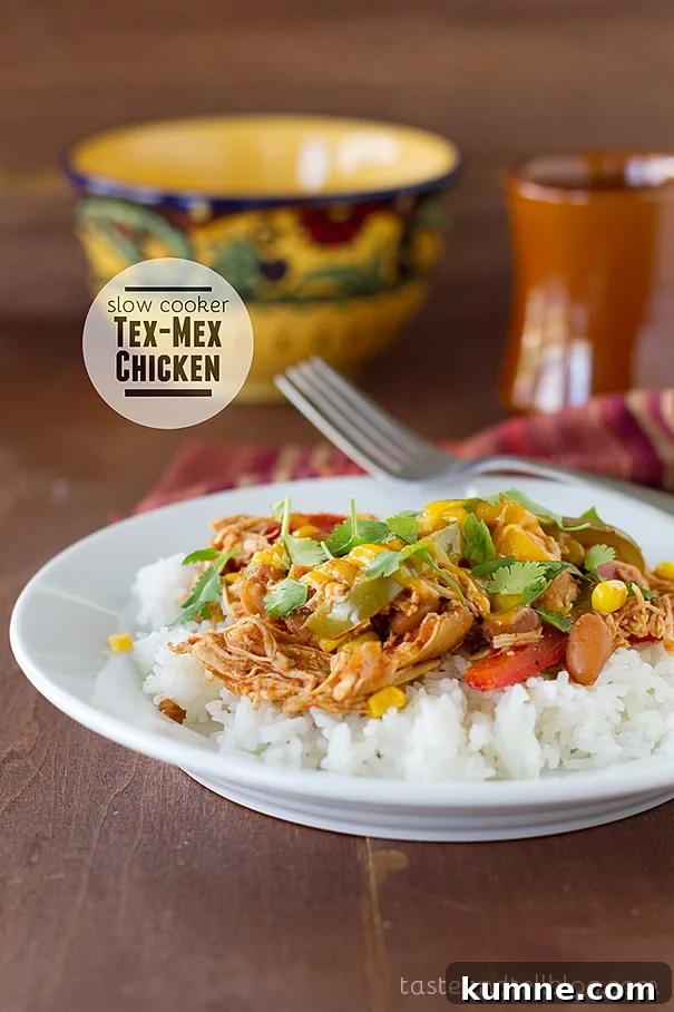 Slow Cooker Tex-Mex Shredded Chicken for Tacos and Bowls 2 Slow Cooker Tex-Mex Chicken on Taste and Tell