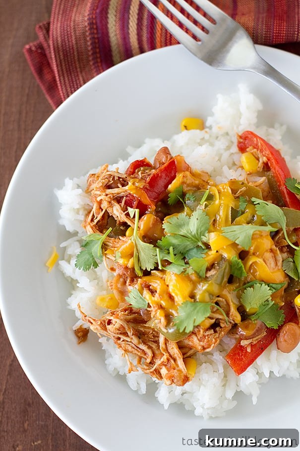 Slow Cooker Tex-Mex Shredded Chicken for Tacos and Bowls 3 Slow Cooker Tex-Mex Chicken