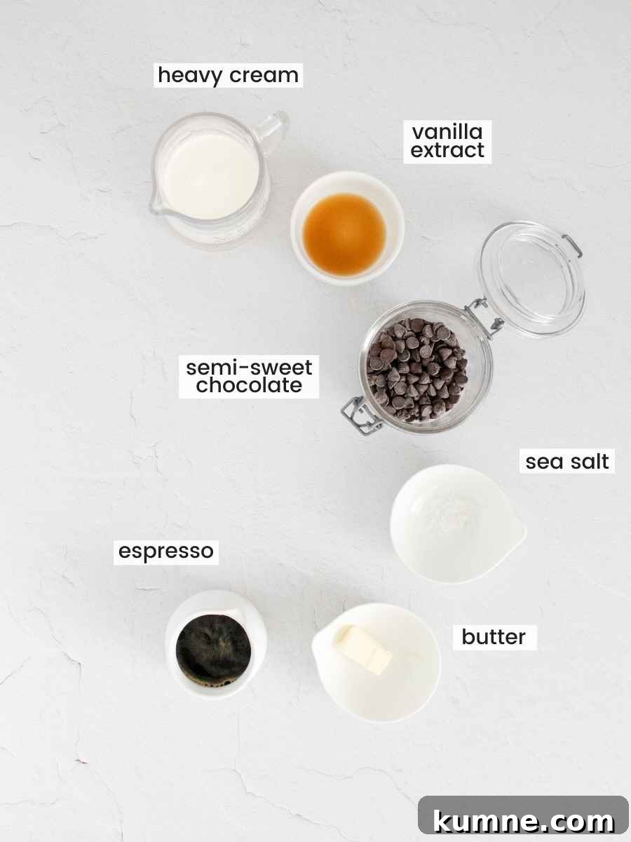 Mocha Chocolate Truffles Recipe: Rich Coffee-Infused Truffles 4 Ingredients to make this recipe
