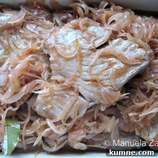 Tuna with onions