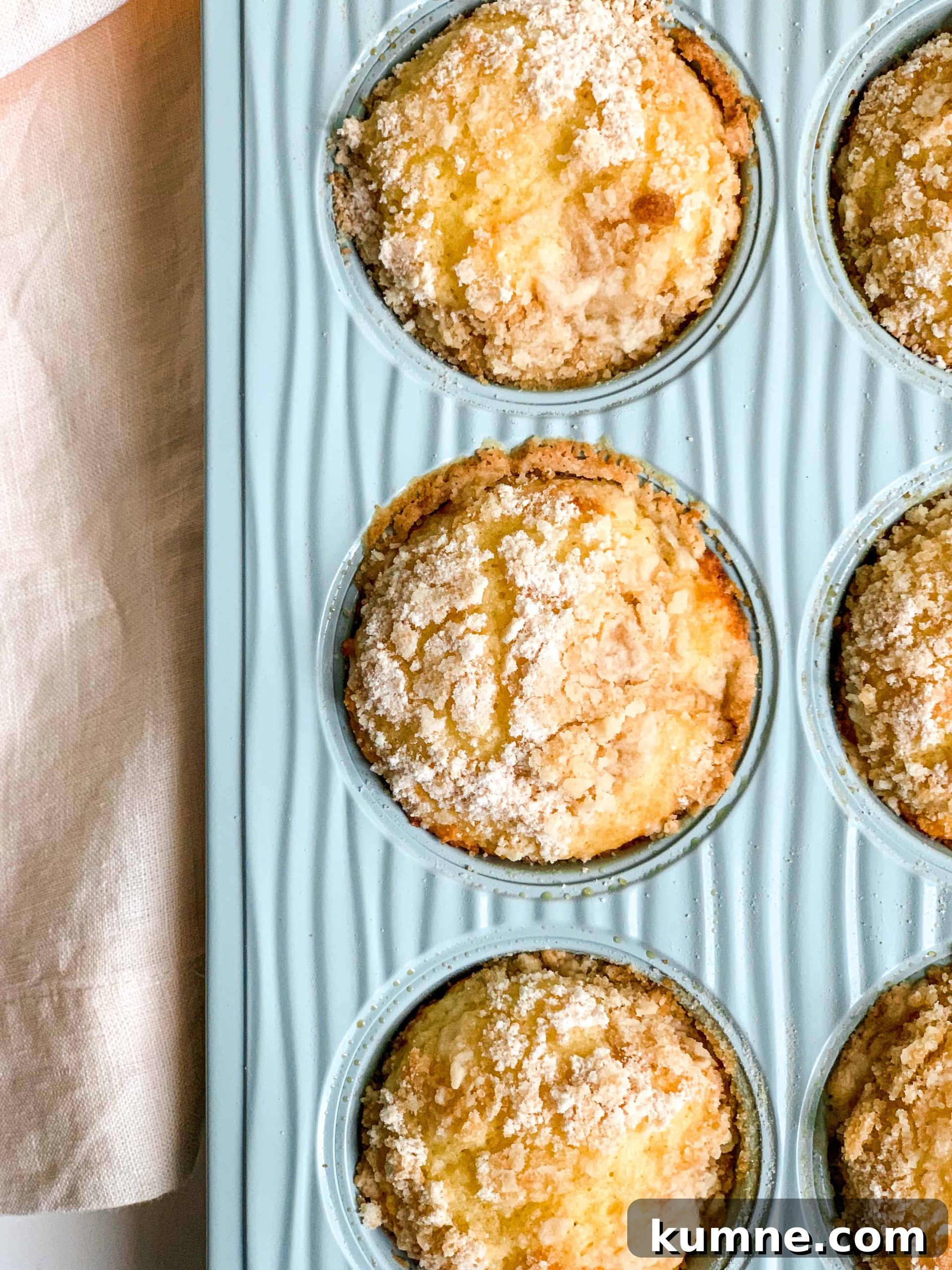 Greek Yogurt Lemon Crumb Muffins Recipe with Lighter Crumble 7 img 1516 6 scaled