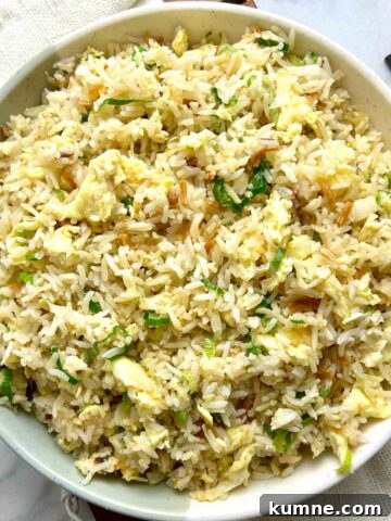 overhead shot of leftover fried rice on plate.