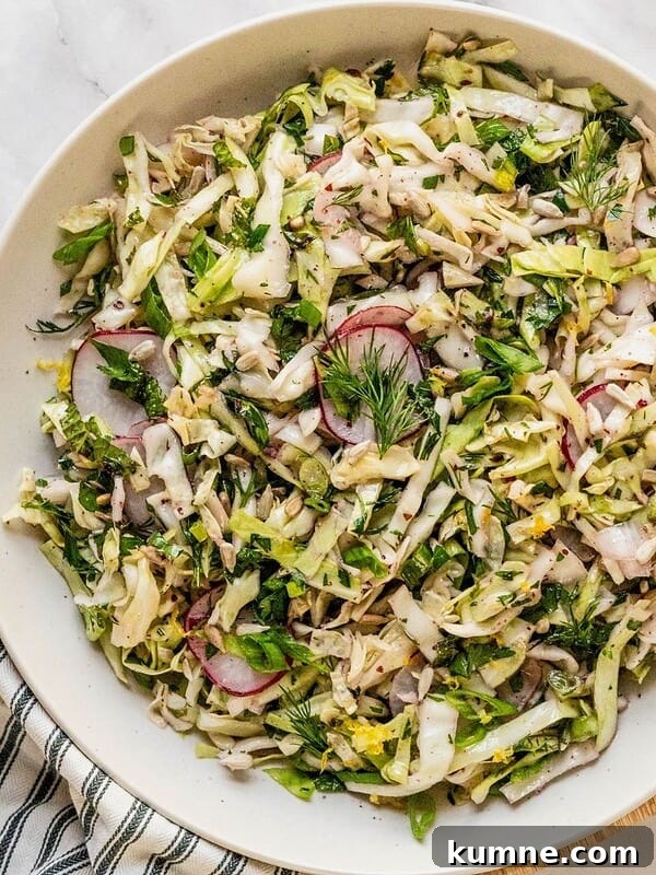 Elote Pasta Salad Inspired by Mexican Street Corn 11 No mayo coleslaw with radish, fresh herbs in a lemon sumac dressing in a bowl.