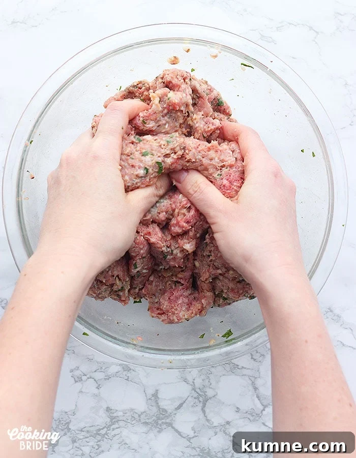 Homemade Meatballs from Scratch: Step-by-Step Recipe 4 Easy Meatballs