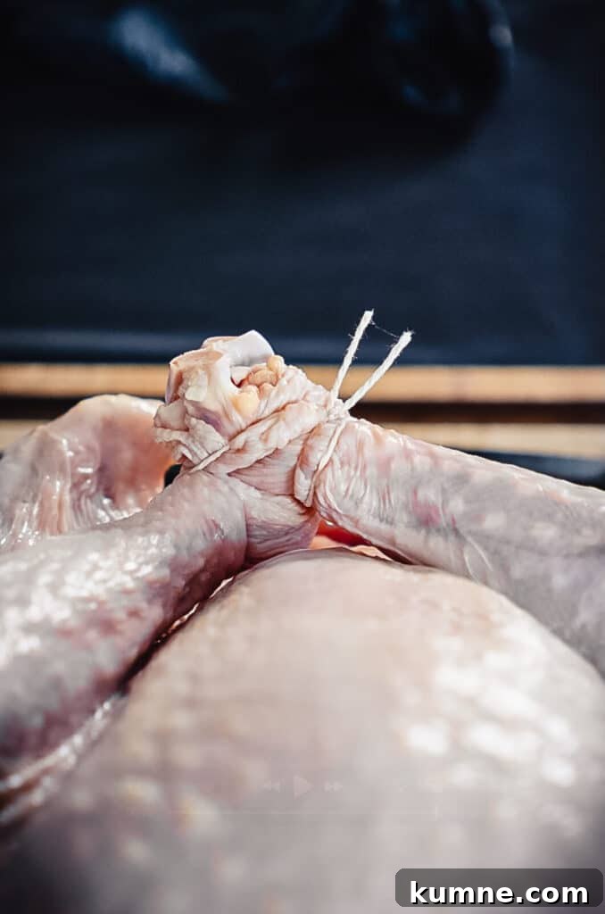 turkey legs tied together with butchers twine