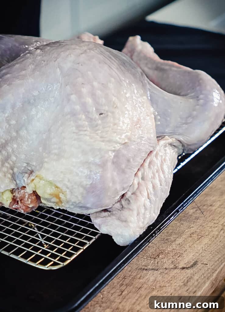 turkey wing tucked under a whole turkey