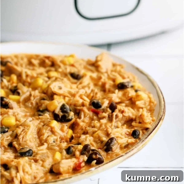 10 Make-Ahead Slow Cooker Freezer Meals You Can Prep in 90 Minutes 2 A bowl of Slow Cooker Southwest Chicken and Rice in front of a slow cooker