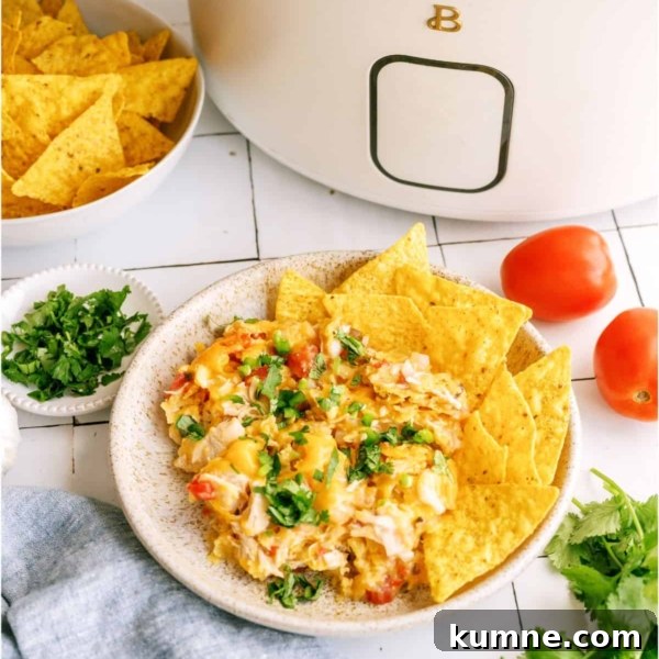 10 Make-Ahead Slow Cooker Freezer Meals You Can Prep in 90 Minutes 3 slow cooker king ranch chicken