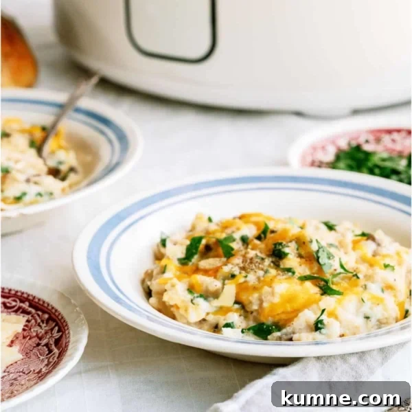 10 Make-Ahead Slow Cooker Freezer Meals You Can Prep in 90 Minutes 4 slow cooker parmesan chicken and rice