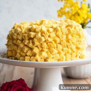 A close up cropped image of a mimosa cake on a cake stand.