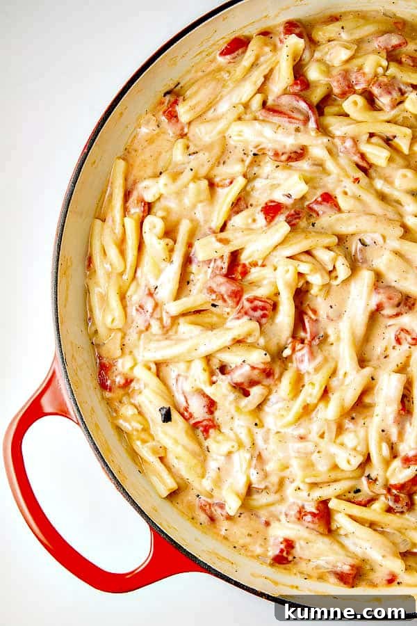 One Pot Pasta with Roasted Red Peppers, and a creamy Goat Cheese sauce! Just toss your ingredients into the pot with your UNCOOKED pasta and go!