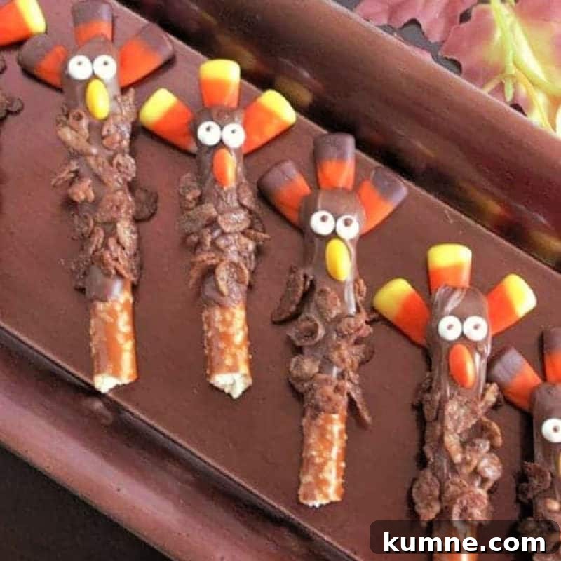 Top Fall Dessert Recipes You Need to Try This Season 12 Chocolate turkey pretzel rods