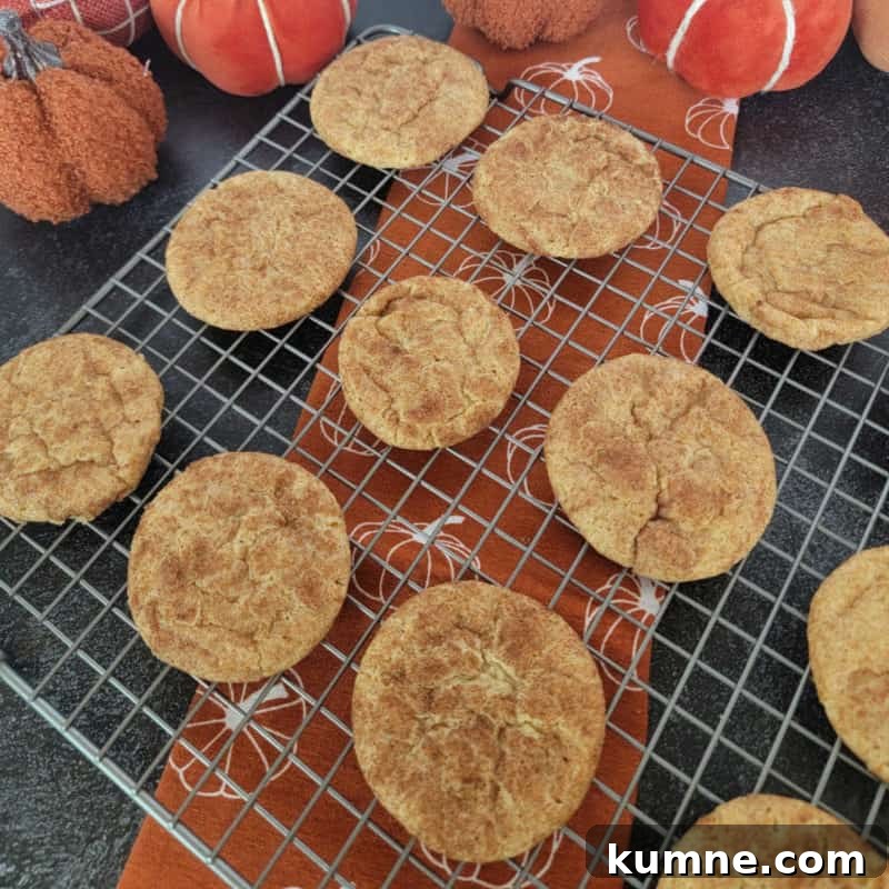 Top Fall Dessert Recipes You Need to Try This Season 13 Pumpkin Snickerdoodles on a wire rack over a pumpkin napkin with cloth napkins in the background
