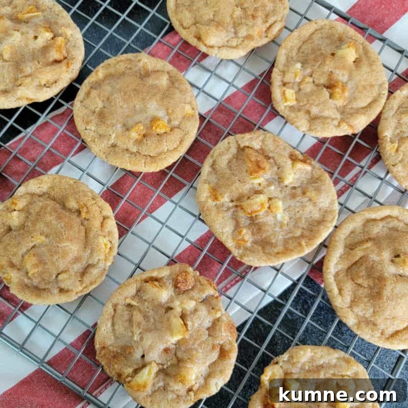 Top Fall Dessert Recipes You Need to Try This Season 14 Apple Cider Cookies on a wire rack above a red striped cloth napkin