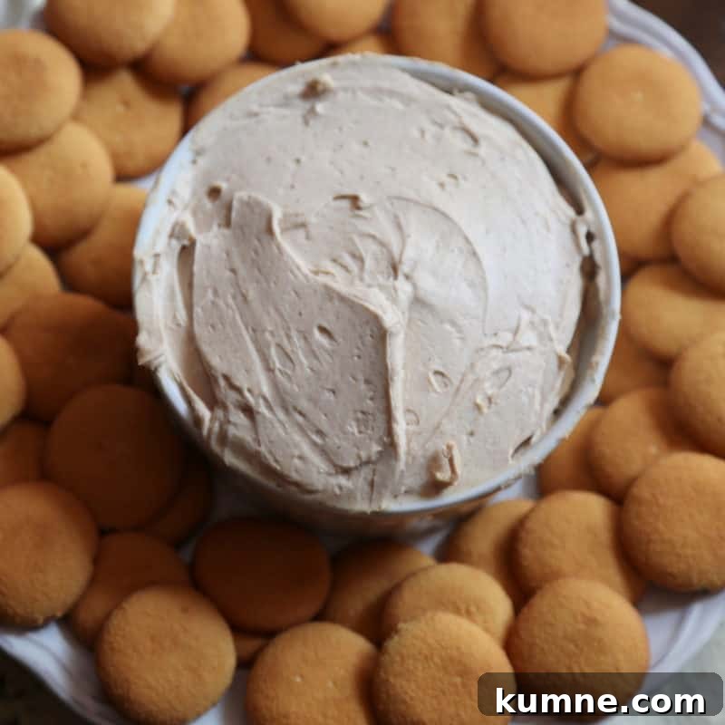 Top Fall Dessert Recipes You Need to Try This Season 15 Pumpkin Cheesecake Dip in a white bowl surrounded by nilla wafers