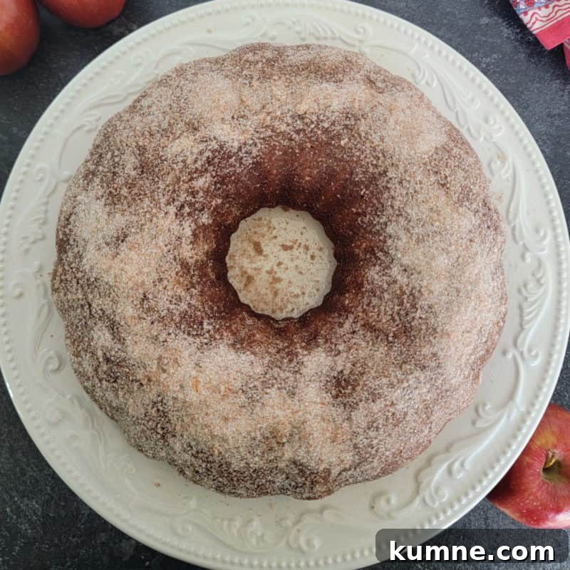 Top Fall Dessert Recipes You Need to Try This Season 3 Apple Cider Donut Cake on a white plate with apples next to it