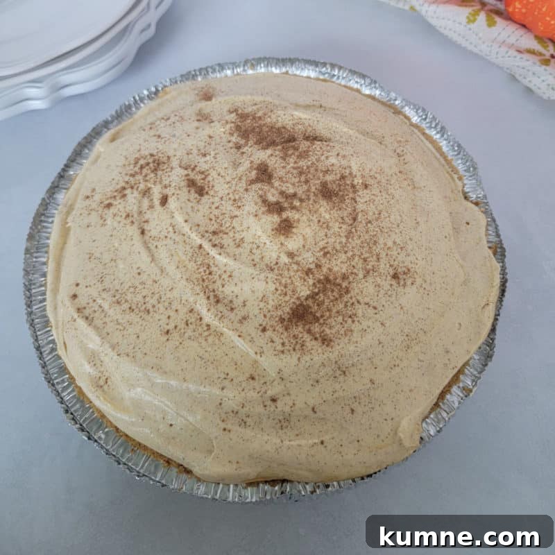 Top Fall Dessert Recipes You Need to Try This Season 21 No Bake Pumpkin Pie in a pie dish