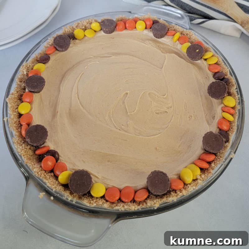Top Fall Dessert Recipes You Need to Try This Season 25 No bake peanut butter pie rimmed in reeses pieces