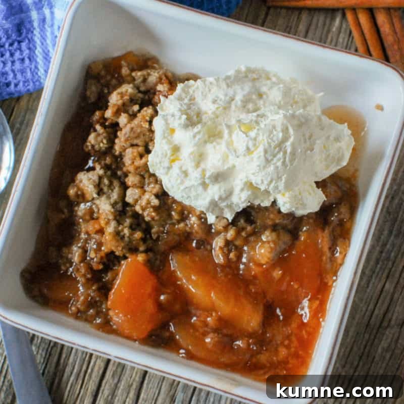 Top Fall Dessert Recipes You Need to Try This Season 34 Apple spice dump cake in a white bowl with whipped cream