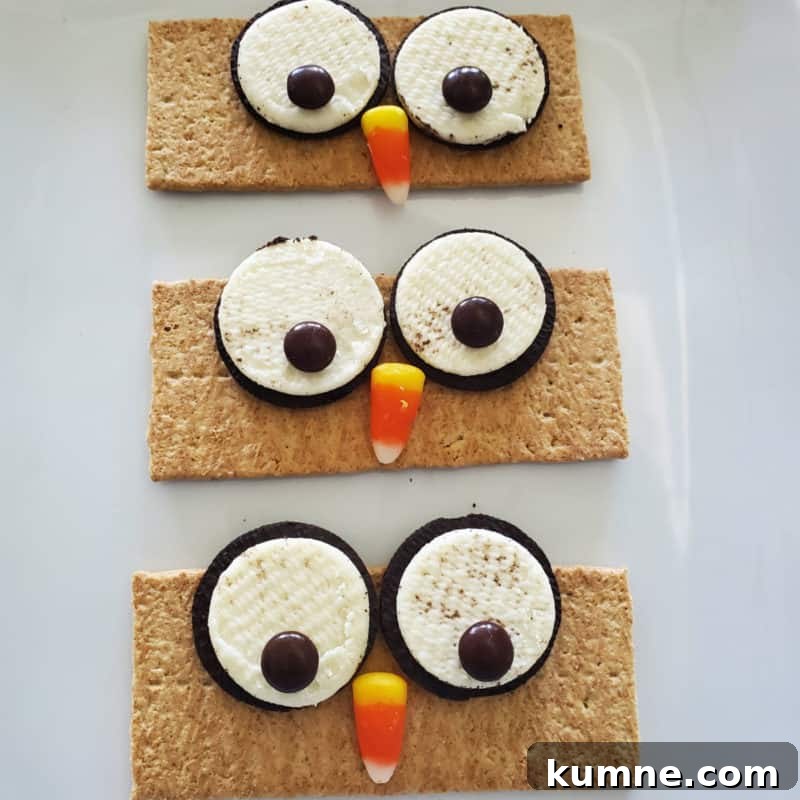 Top Fall Dessert Recipes You Need to Try This Season 9 Graham Cracker Owls on a white platter