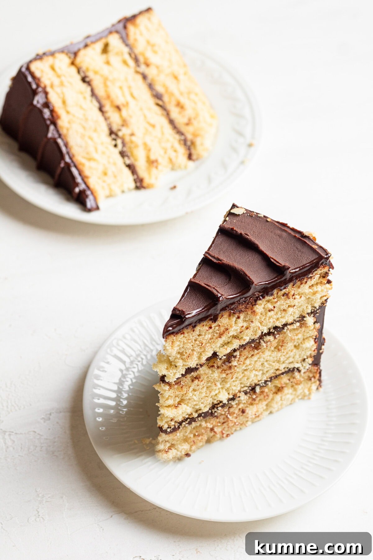 Light and Tender Passover Cake Recipe for a Perfect Seder 11 Sliced layered cake filled with chocolate.