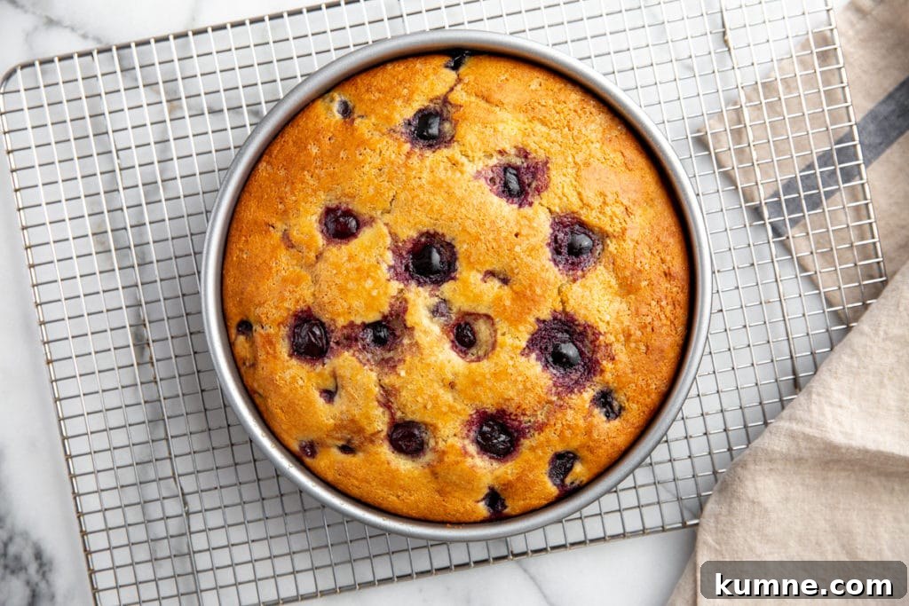 The baked cherry cake in a pan on a cooling rack.