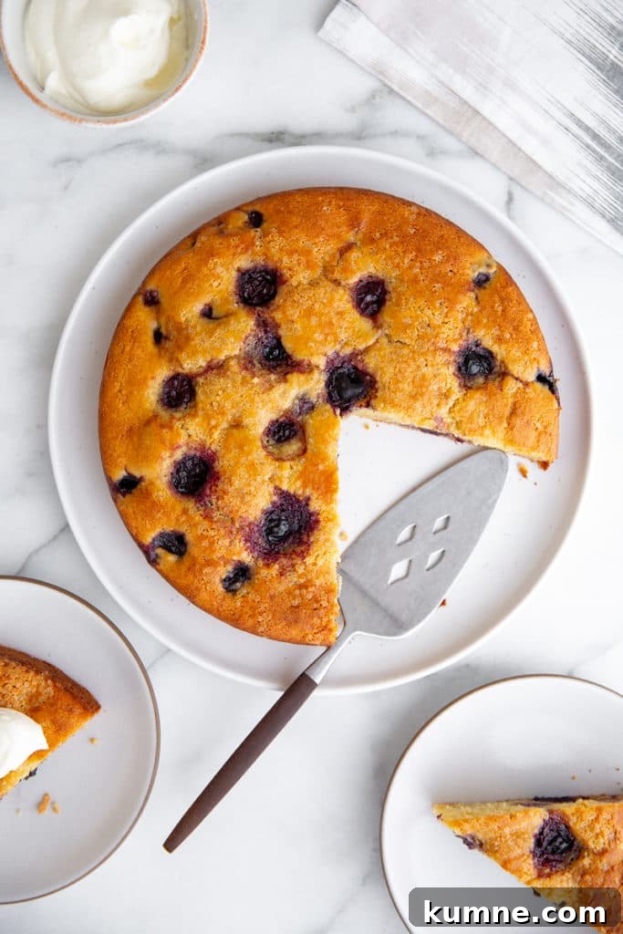 Gluten free ricotta cake on a platter with plates and a bowl of whipped cream alongside.