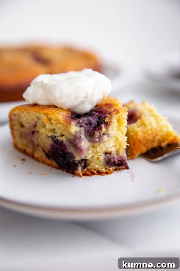 Close up of a slice of cherry almond ricotta cake with a bite taken out.
