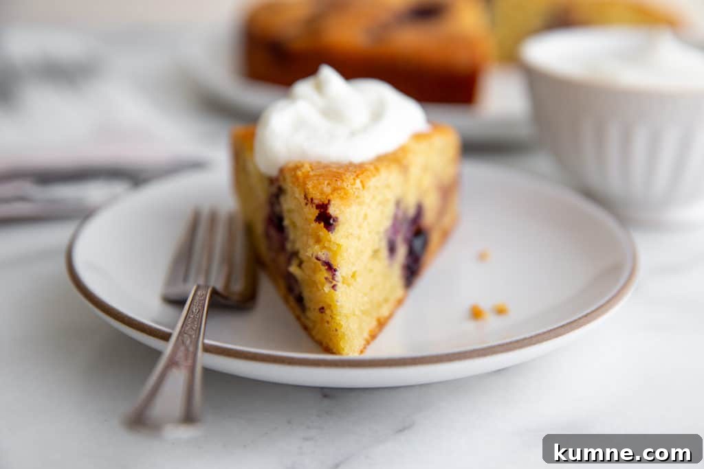 A slice of ricotta cake on a plate topped with whipped cream, with a fork alongside.