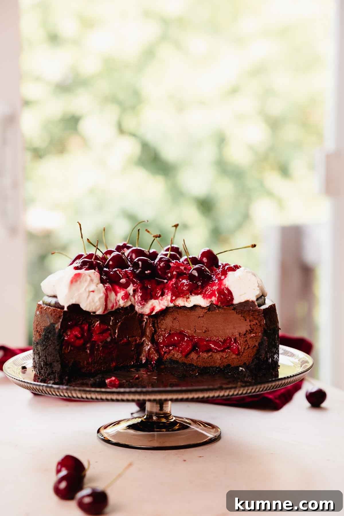 black forest cheesecake with cherries, whipped cream, and ganache