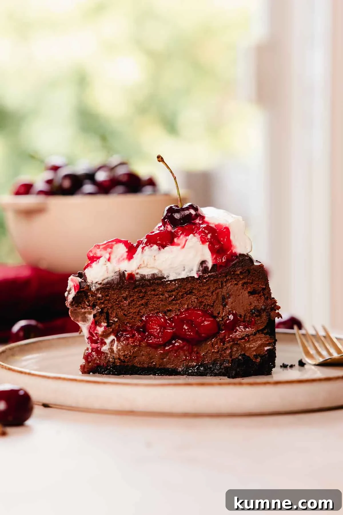 slice of black forest cheesecake on plate with a fork