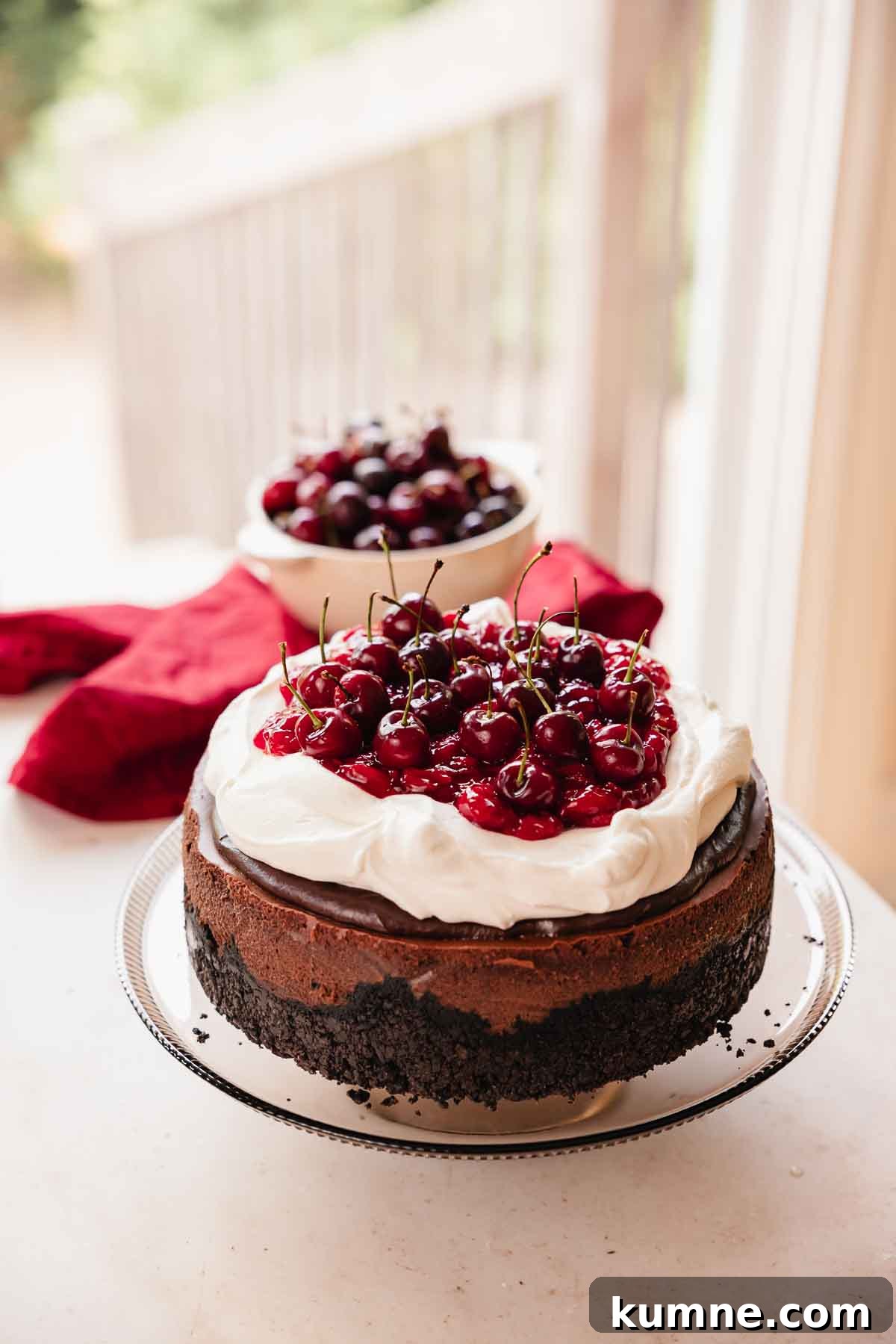 black forest cheesecake with cherry center, chocolate ganache, whipped cream, and fresh cherries on top