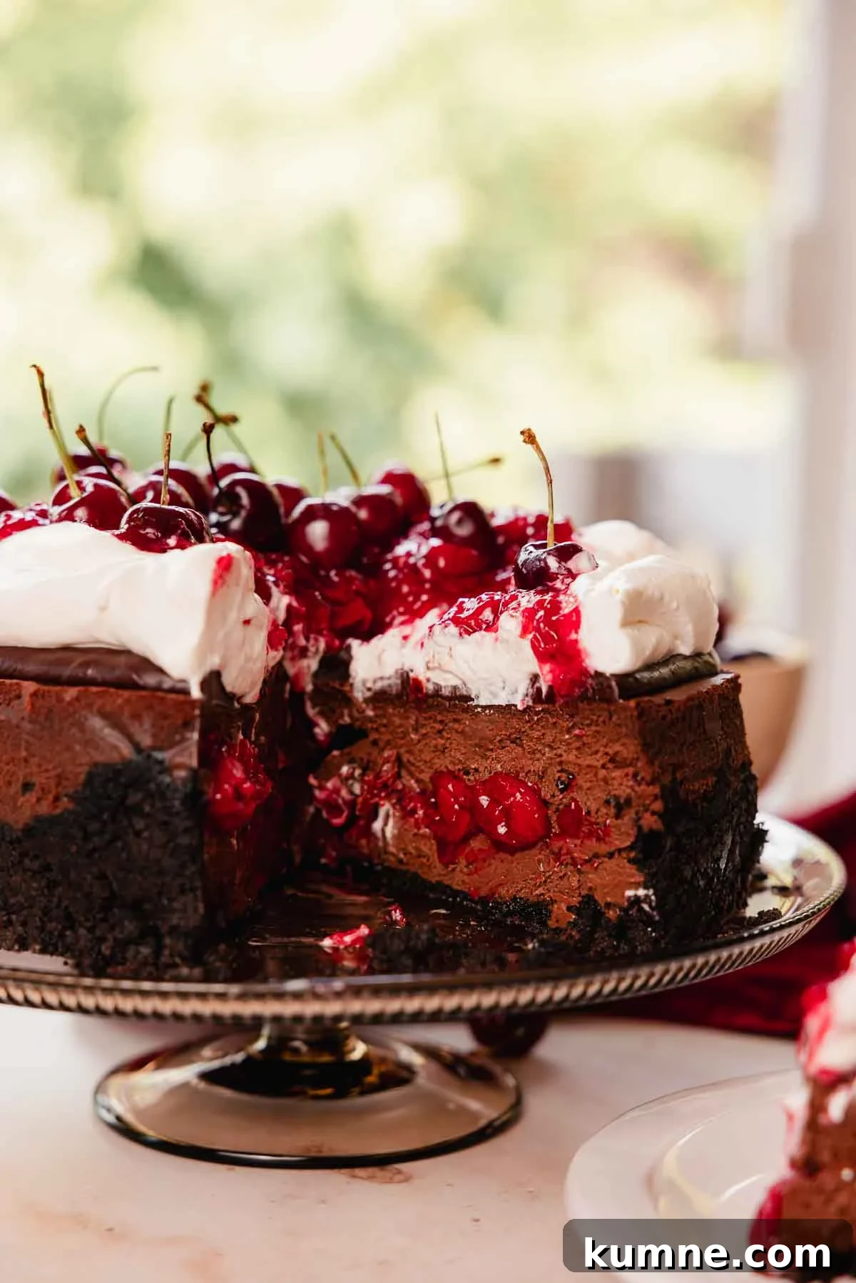 black forest cheesecake with cherry filling, whipped cream, chocolate ganache, and cherries