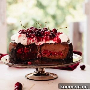 creamy cross section of black forest cheesecake with whipped cream and cherries