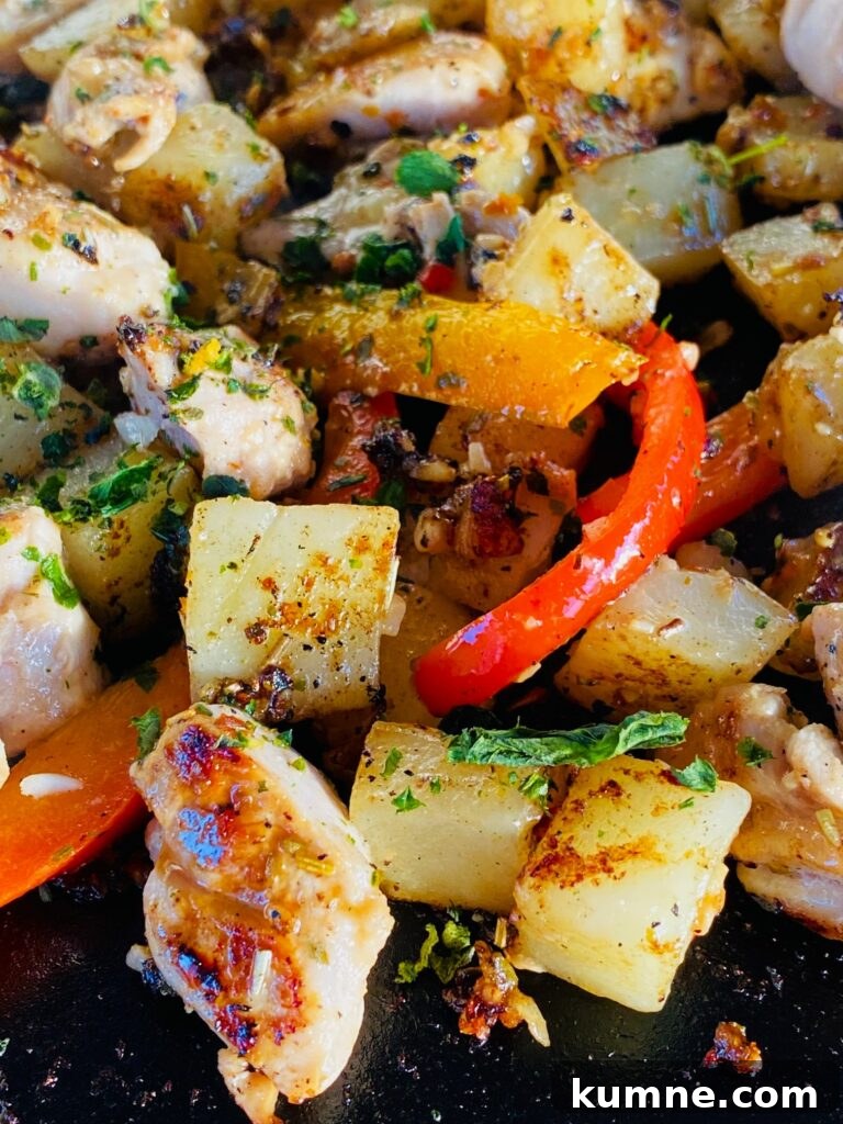 Blackstone Italian Chicken and Veggies