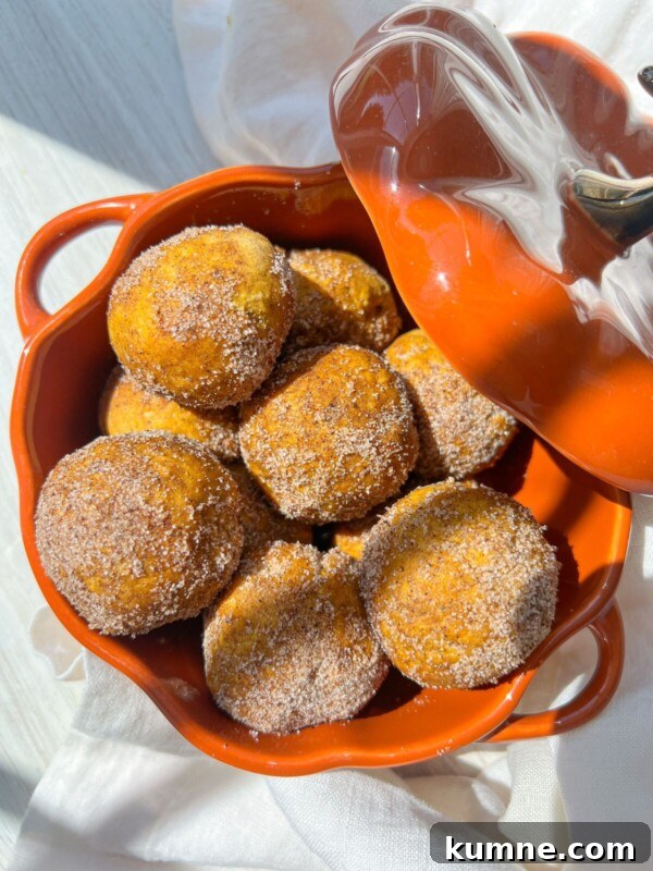 Homemade Pumpkin Spice Donuts Recipe for Fall Baking 5 A dish filled with pumpkin donut holes