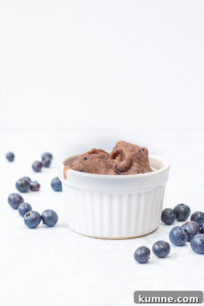 Blender Banana Blueberry Nice Cream: Creamy Frozen Dessert in Minutes 3 blueberry and banana nice cream in a bowl