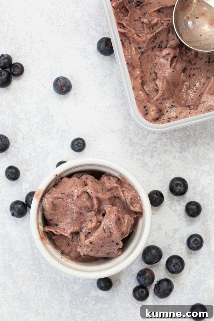 Blender Banana Blueberry Nice Cream: Creamy Frozen Dessert in Minutes 4 bowl of blueberry nice cream with tub of nice cream next to it