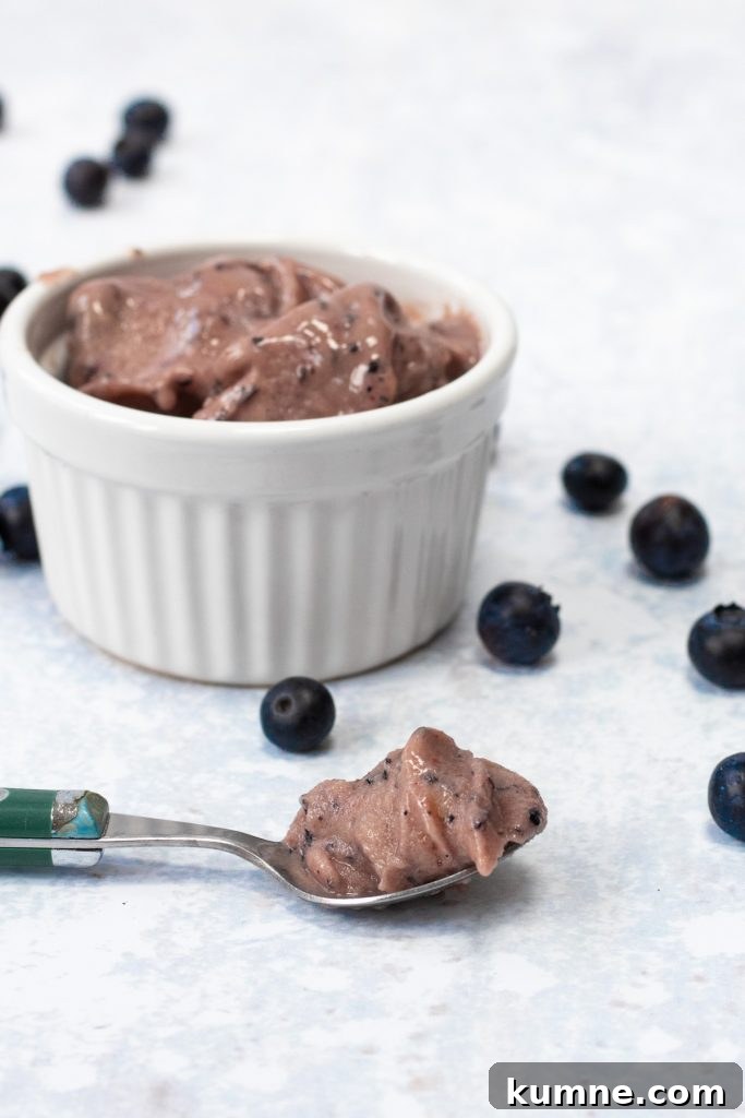 Blender Banana Blueberry Nice Cream: Creamy Frozen Dessert in Minutes 5 banana and blueberry nice cream in a bowl with a spoonful of nice cream in front of the bowl