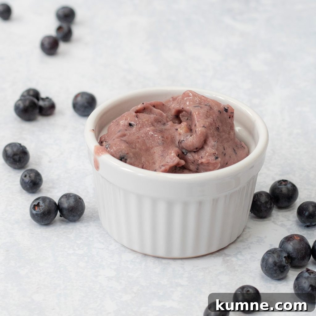 Blender Banana Blueberry Nice Cream: Creamy Frozen Dessert in Minutes 6 bowl of blueberry banana nice cream