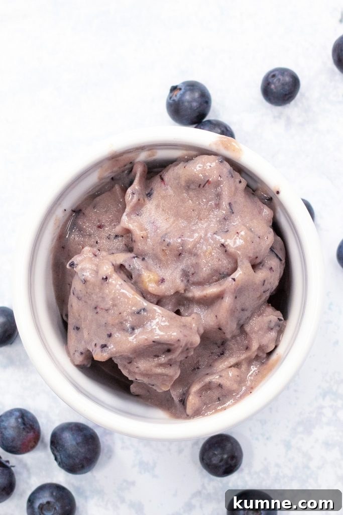 Blender Banana Blueberry Nice Cream: Creamy Frozen Dessert in Minutes 7 blueberry nice cream in a bowl